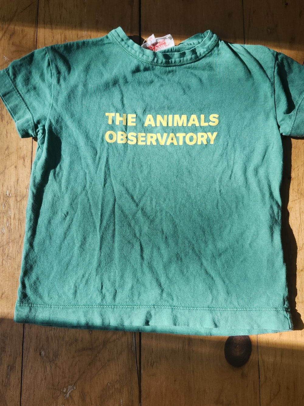 The Animals Observatory Tee